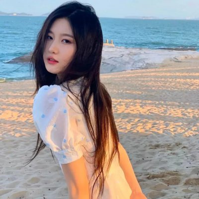 红色天网 海报
